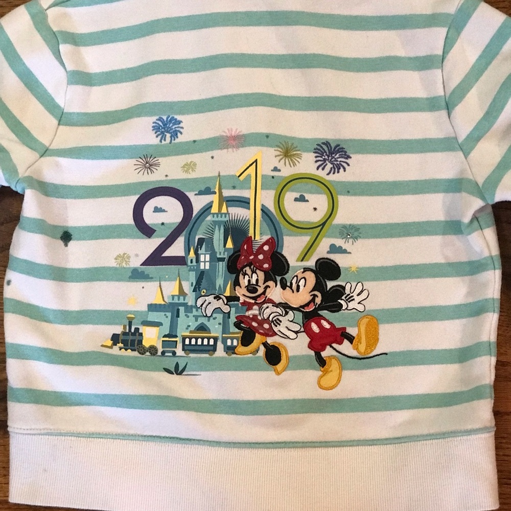 Disney 2019 Hooded Hoodie Jacket Coat 
Walt Disney World Graphic Stripe …